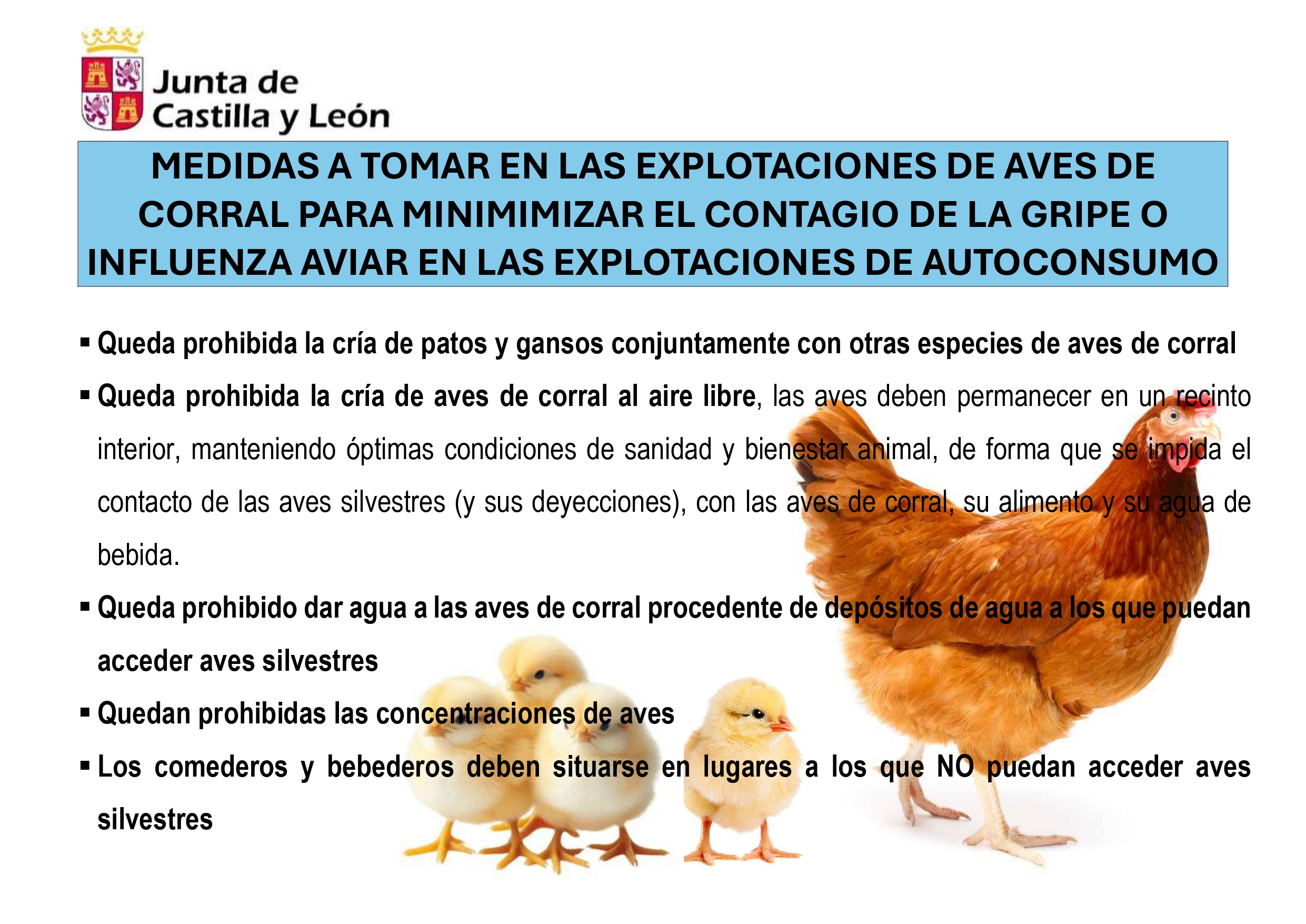 MEDIDAS A TOMAR EN LAS EXPLOTACIONES DE AVES DE CORRAL